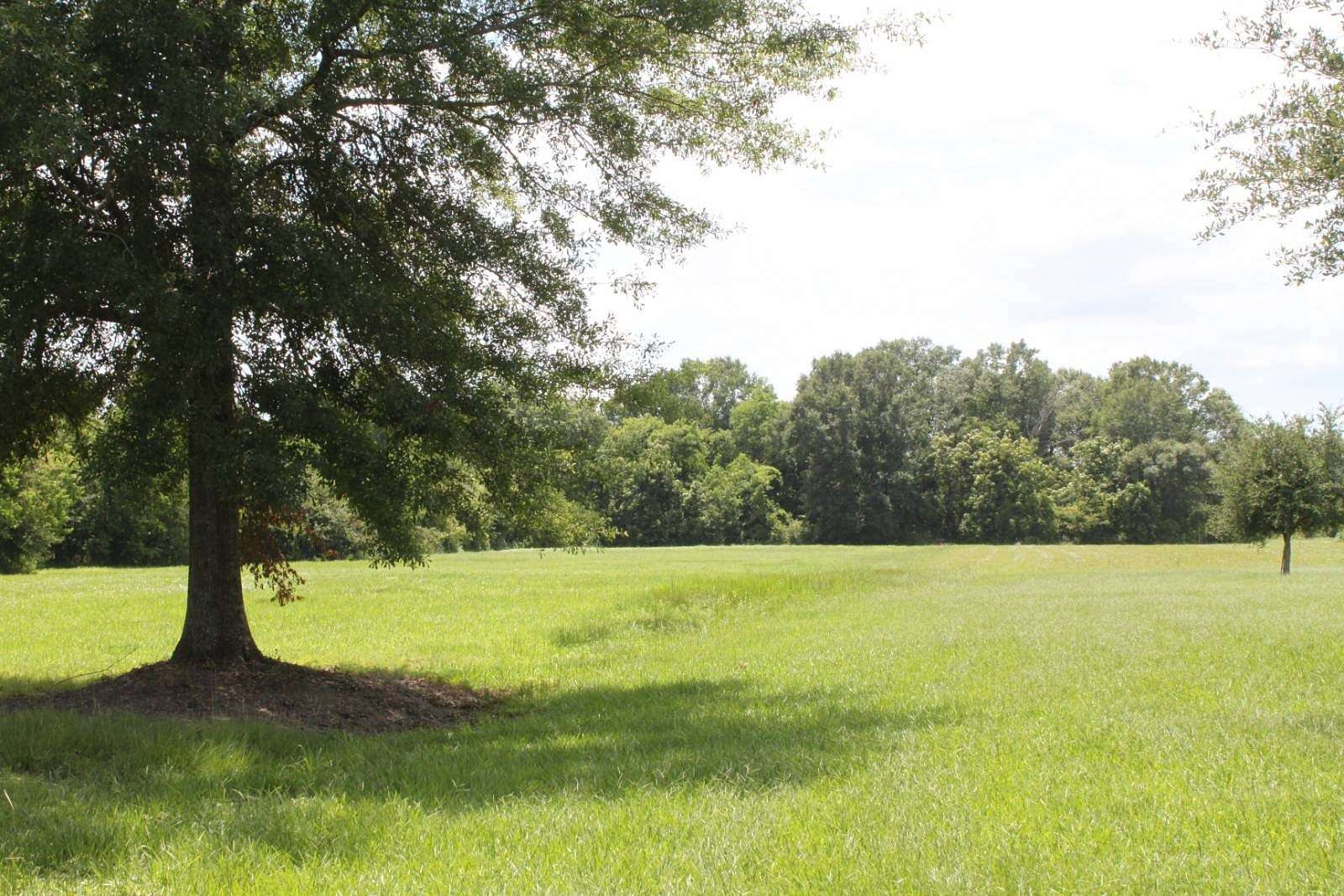 32 Acres of Agricultural Land for Sale in Youngsville, Louisiana