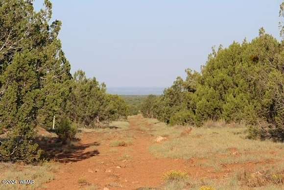 42.43 Acres of Recreational Land for Sale in Show Low, Arizona