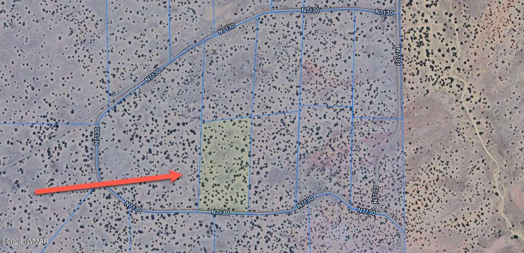 18.75 Acres of Recreational Land for Sale in St. Johns, Arizona