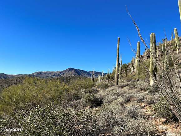 50 Acres of Agricultural Land for Sale in Cave Creek, Arizona - LandSearch