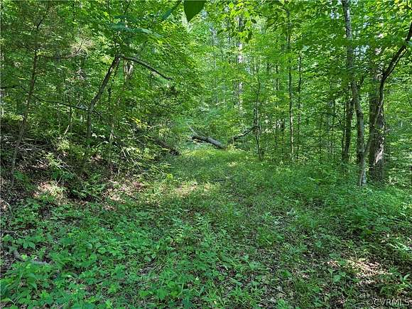 26.651 Acres of Recreational Land for Sale in Mineral, Virginia