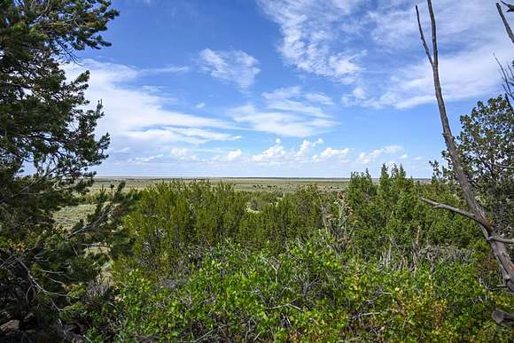 72.54 Acres of Land for Sale in Walsenburg, Colorado