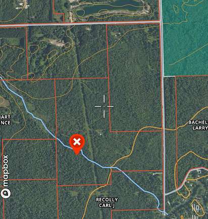 109.12 Acres of Recreational Land for Sale in Alanson, Michigan