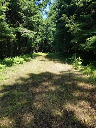 5.05 Acres of Land for Sale in Jefferson, New York