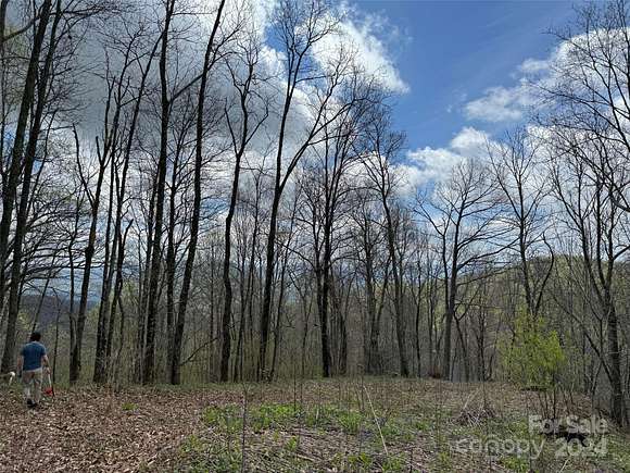 2 Acres of Residential Land for Sale in Fairview, North Carolina