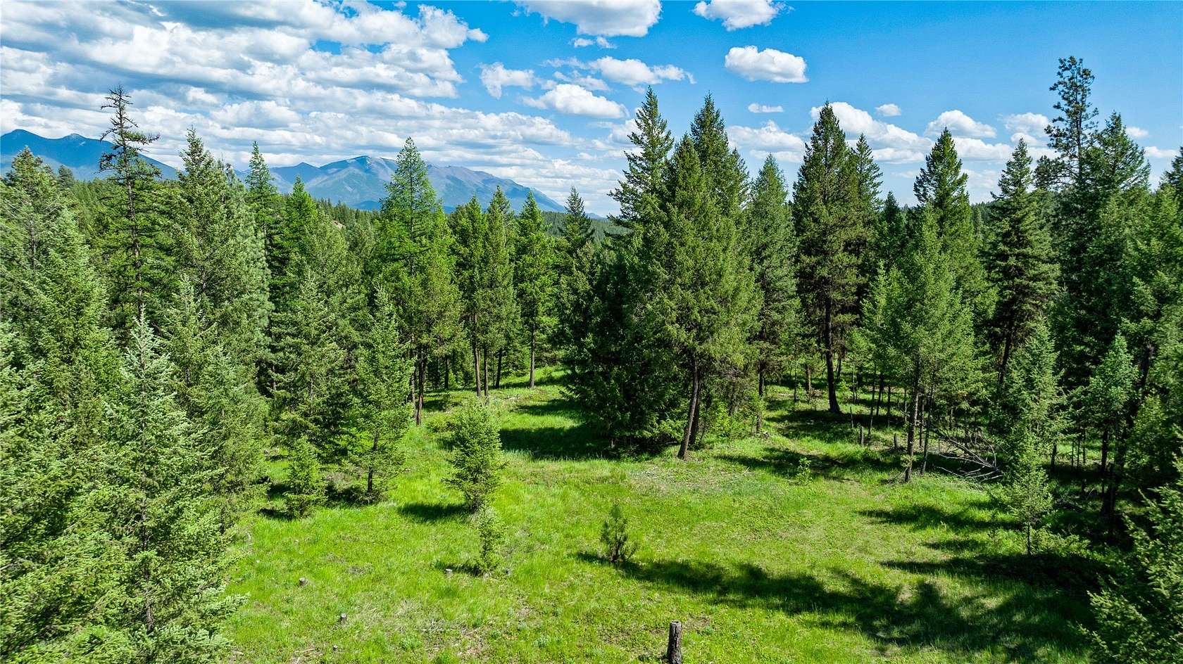 20.001 Acres of Land for Sale in Eureka, Montana