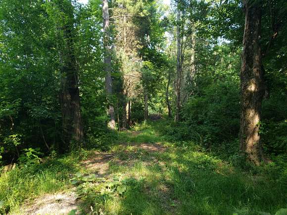 1.22 Acres of Land for Sale in West Olive, Michigan
