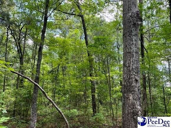 3.05 Acres of Residential Land for Sale in Darlington, South Carolina