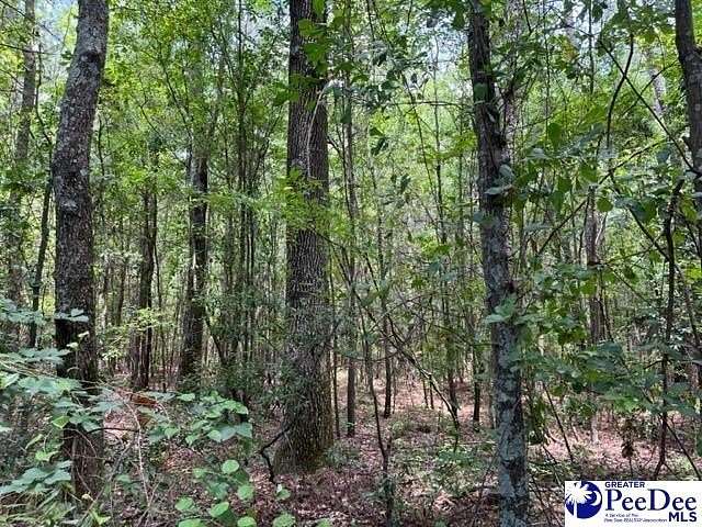 3.05 Acres of Residential Land for Sale in Darlington, South Carolina