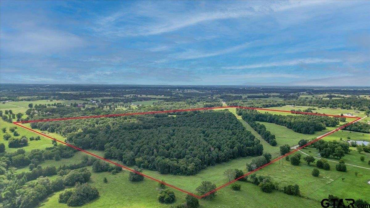 80.64 Acres of Agricultural Land for Sale in Van, Texas