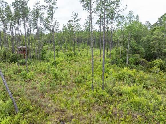 40.44 Acres of Land for Sale in Greenville, Florida