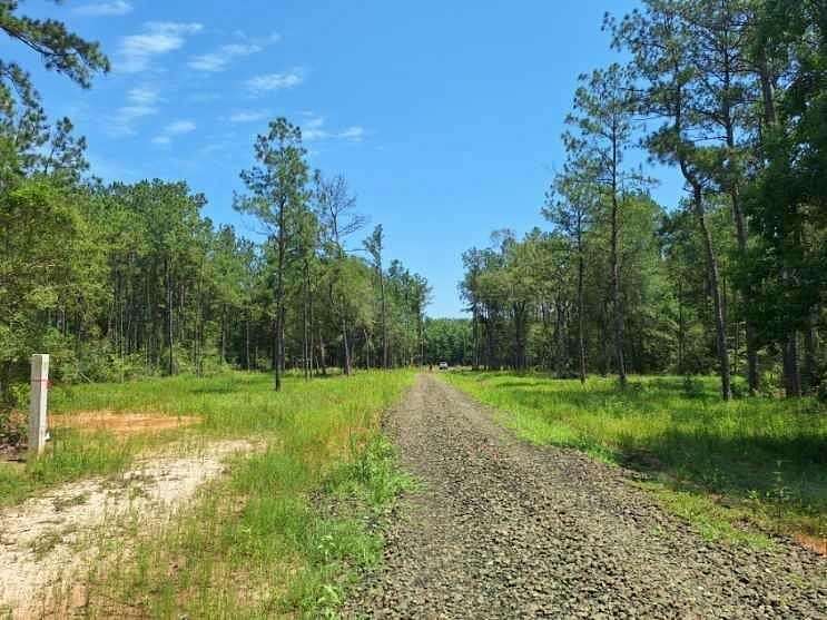 12.42 Acres of Land for Sale in Buna, Texas