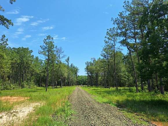 15.85 Acres of Land for Sale in Buna, Texas
