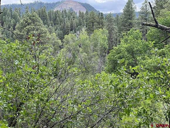 10.77 Acres of Land for Sale in Pagosa Springs, Colorado