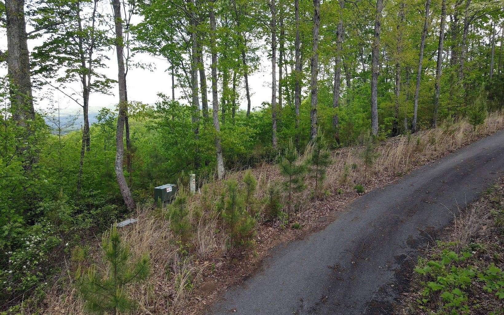 1.15 Acres of Residential Land for Sale in Blairsville, Georgia