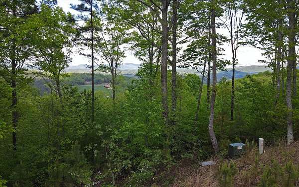 1.15 Acres of Residential Land for Sale in Blairsville, Georgia