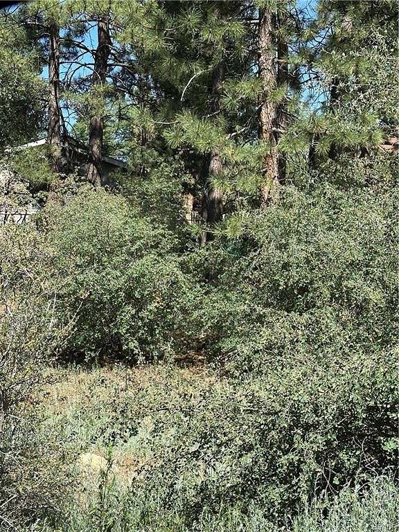 Land for Sale in Sugarloaf, California