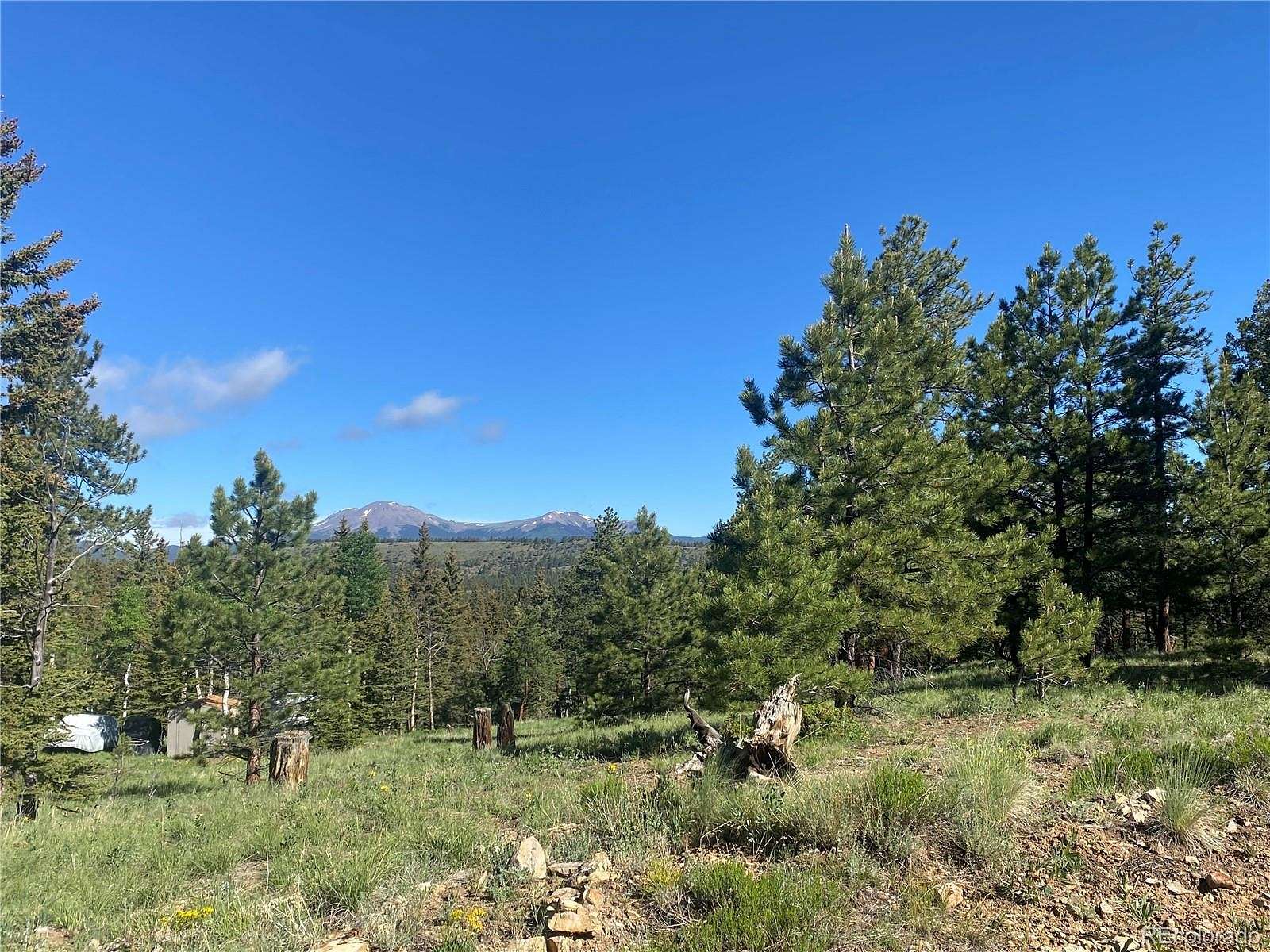 2.5 Acres of Residential Land for Sale in Buena Vista, Colorado