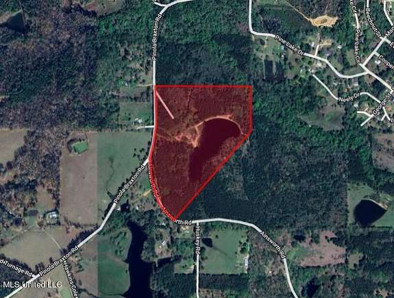 40 Acres of Recreational Land for Sale in Braxton, Mississippi