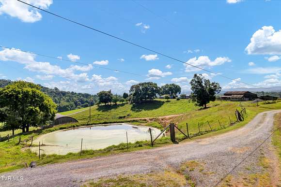 73.73 Acres of Agricultural Land for Sale in Rogersville, Tennessee