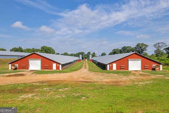 25 Acres of Agricultural Land for Sale in Comer, Georgia