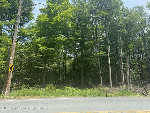0.98 Acres of Land for Sale in Newfoundland, Pennsylvania