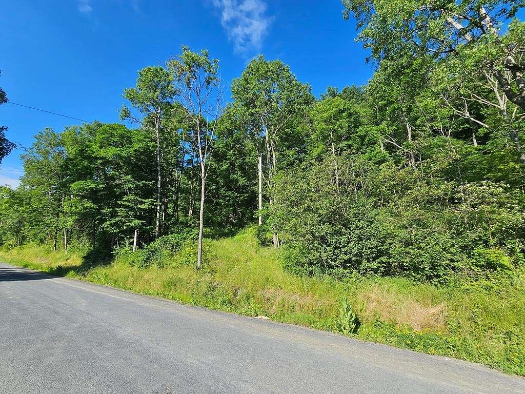 20.3 Acres of Land for Sale in Elmira, New York