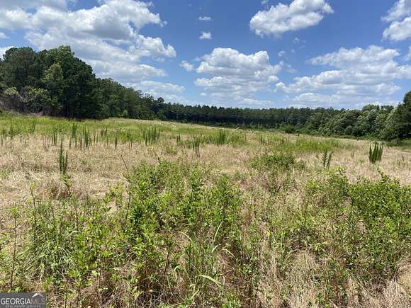 43.356 Acres of Agricultural Land for Sale in Griffin, Georgia