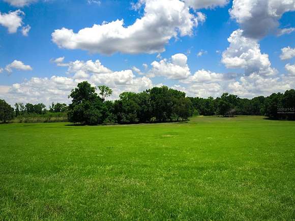 31.83 Acres of Land for Sale in High Springs, Florida