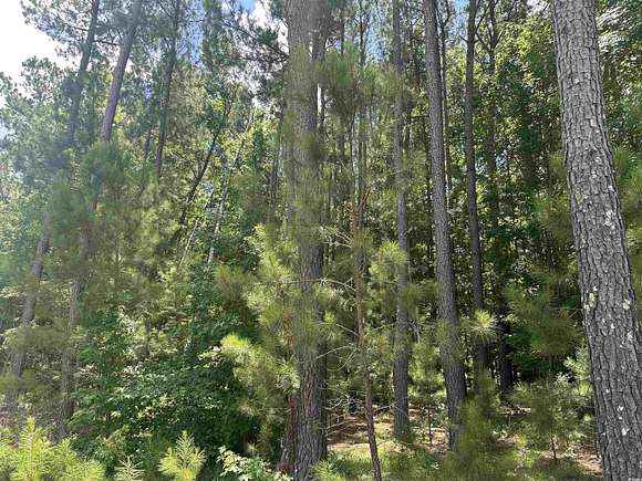 2.57 Acres of Land for Sale in Salters, South Carolina