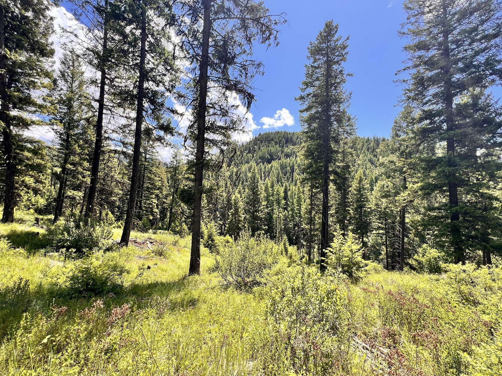 28 Acres of Recreational Land for Sale in Republic, Washington