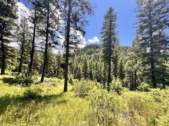 28 Acres of Land for Sale in Republic, Washington