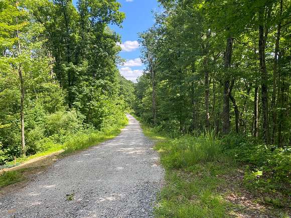 47.7 Acres of Recreational Land for Auction in Jane Lew, West Virginia
