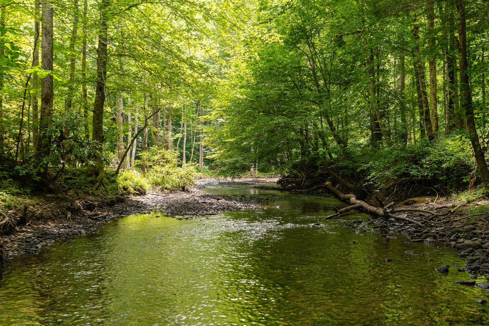 2 Acres of Residential Land for Sale in Crawford, Tennessee