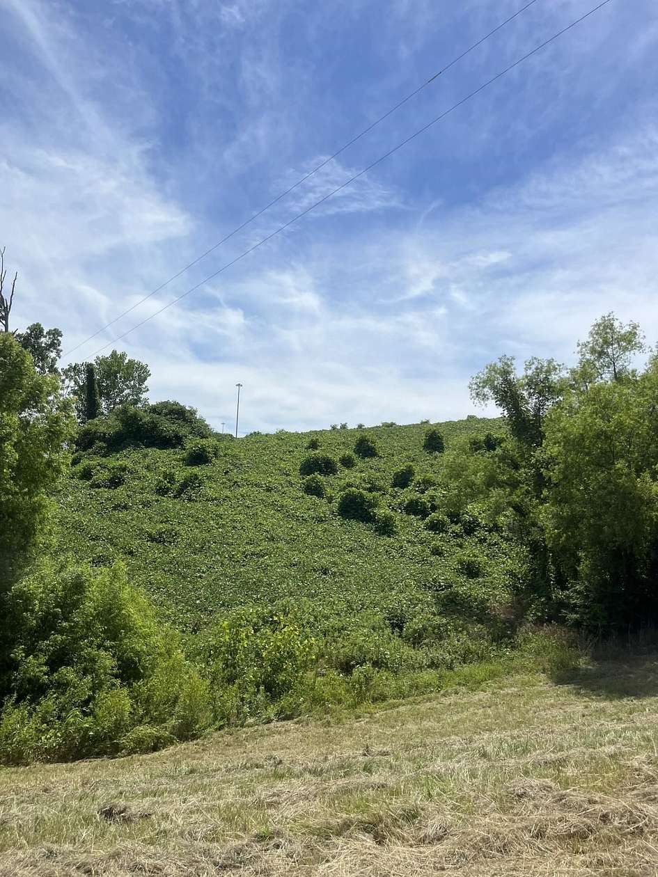 6.62 Acres of Land for Sale in Blue Springs, Mississippi