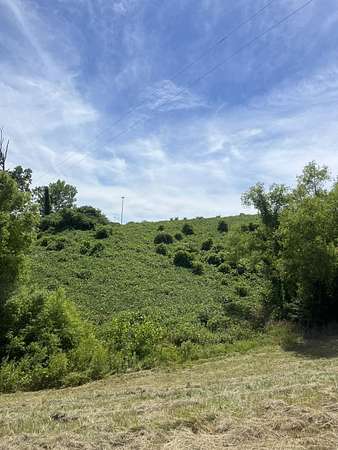 6.62 Acres of Land for Sale in Blue Springs, Mississippi