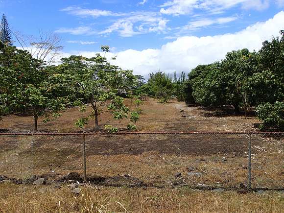 1 Acres of Land for Sale in Keaau, Hawaii