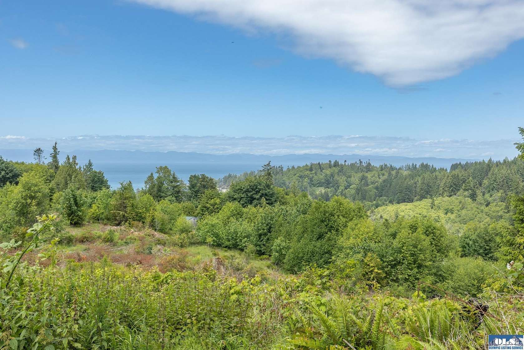 6.49 Acres of Residential Land for Sale in Port Angeles, Washington