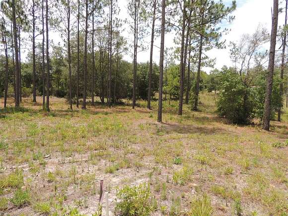 0.88 Acres of Land for Sale in Williston, Florida