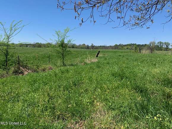 10.01 Acres of Land for Sale in Hernando, Mississippi