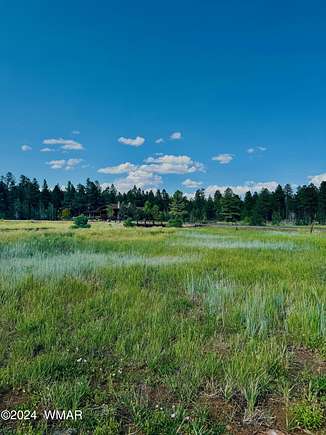 1.06 Acres of Residential Land for Sale in Pinetop, Arizona