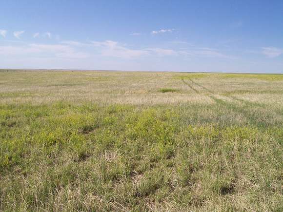 640 Acres of Recreational Land & Farm for Sale in Deer Trail, Colorado