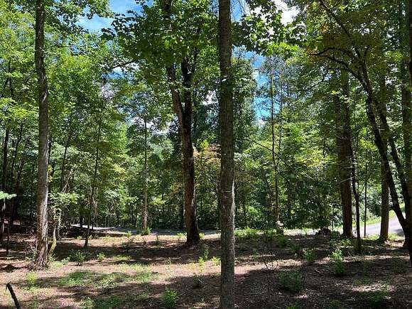 1.47 Acres of Residential Land for Sale in Franklin Township, North Carolina