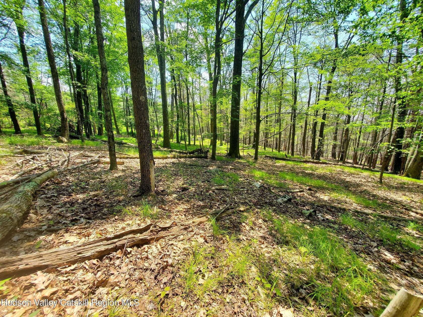 0.75 Acres of Land for Sale in Cragsmoor, New York
