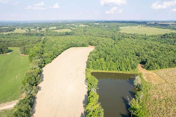 20 Acres of Land for Sale in Higdon, Alabama