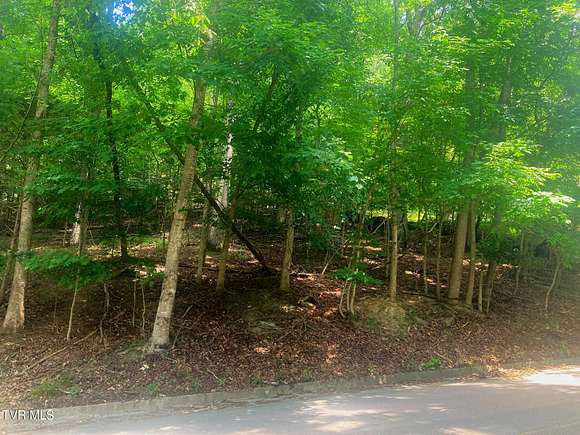 0.34 Acres of Residential Land for Sale in Bluff City, Tennessee