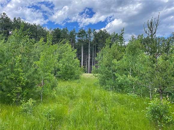 5.5 Acres of Land for Sale in Jenkins, Minnesota