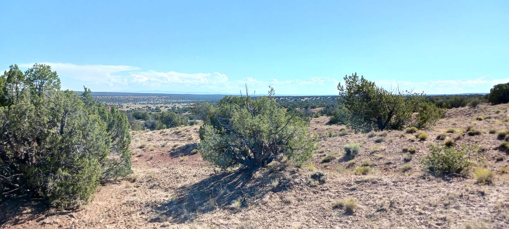 10 Acres of Residential Land for Sale in Sanders, Arizona
