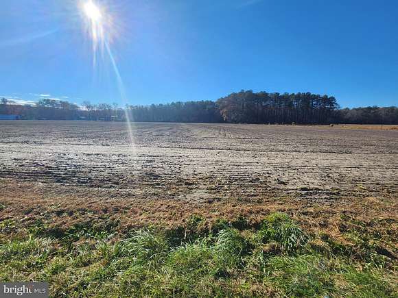 1 Acre of Residential Land for Sale in Laurel, Delaware