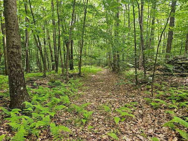 18 Acres of Land for Sale in Highmount, New York
